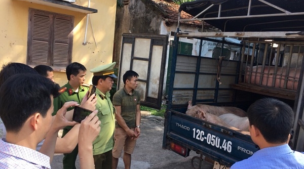 Lạng Sơn: Bắt giữ xe ô tô vận chuyển hơn 1,5 tấn thịt lợn nhập lậu