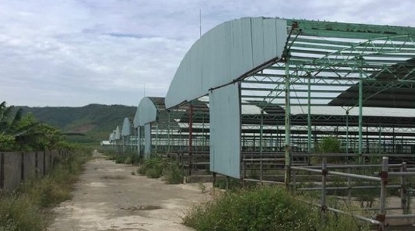 Khởi tố, bắt tạm giam hai bị can liên quan dự án nghìn tỷ tại Hà Tĩnh
