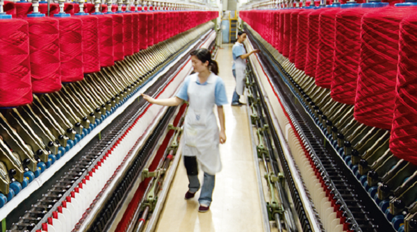 Đà Lạt: Xây nhà máy kéo sợi len lông cừu với số vốn đầu tư 50 triệu USD