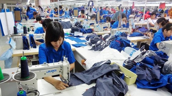 Hà Nội: Hơn 97.000 lao động có việc làm trong 6 tháng đầu năm