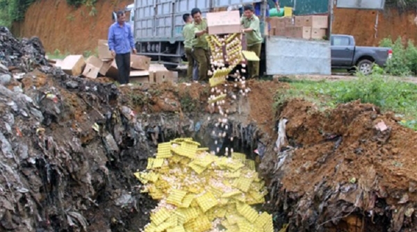 Yên Bái: Tiêu hủy hơn 100.000 trứng gà nhập lậu
