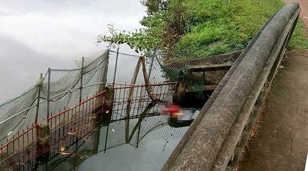 Sóc Sơn (Hà Nội): Tìm thấy thi thể cô gái nổi dưới ao nước ở xã Nam Sơn