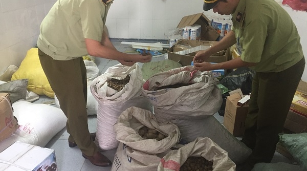 Thu giữ 735 kg dược liệu không rõ nguồn gốc tại Nghệ An