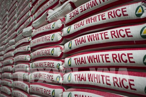 Thái Lan chi gần 3 tỷ USD để hỗ trợ ngành lúa gạo
