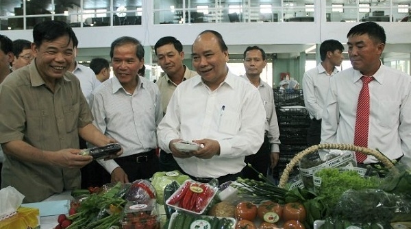 Thủ tướng Nguyễn Xuân Phúc thăm mô hình sản xuất nông nghiệp công nghệ cao
