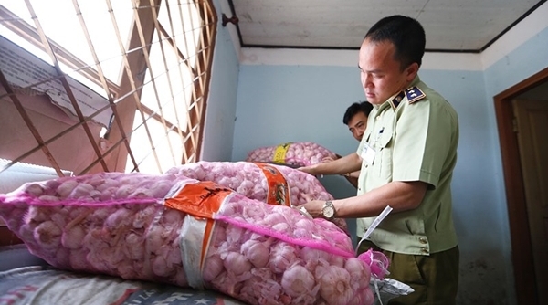 Lâm Đồng: Tịch thu trên 4.100kg cà rốt và tỏi Trung Quốc trên đường lên Đà Lạt