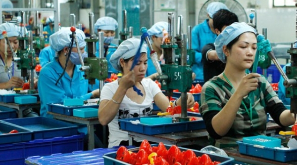 Gần 1 tỷ đồng đào tạo nghề cho doanh nghiệp nhỏ và vừa Hà Tĩnh