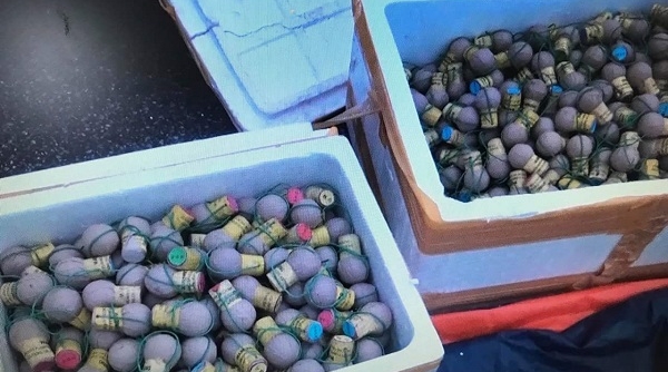 Cảnh sát biển truy đuổi thu giữ 30 kg pháo nổ nhãn hiệu của Trung Quốc