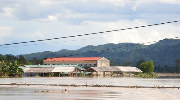 Nghệ An: Nước lũ dâng cao 'nhấn chìm' nhiều vùng hạ lưu