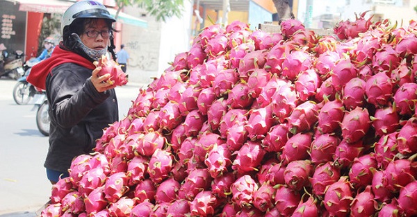 Nguyên nhân nông sản Việt gặp khó tại thị trường Trung Quốc?