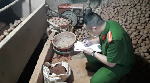 Lâm Đồng: 578 tấn khoai tây Trung Quốc nhập về trong 3 tháng