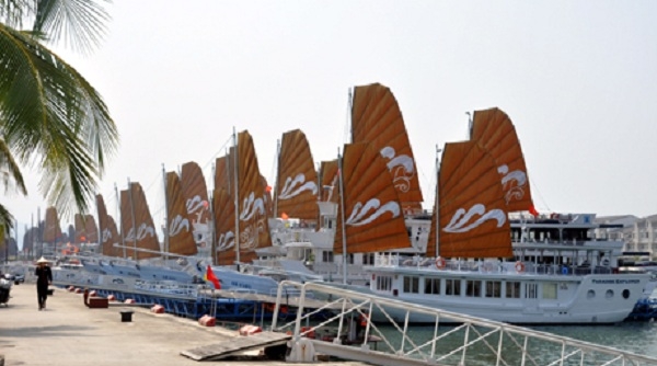 Quảng Ninh: Tiêu hủy hàng loạt tàu thuyền đeo bám tàu du lịch để bán hàng rong trên vịnh Hạ Long