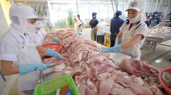 Hoa Kỳ giảm mạnh thuế chống bán phá giá cá tra và basa của Việt Nam