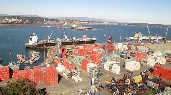 Công bố Kết luận thanh tra việc cổ phần hóa Cảng Quy Nhơn