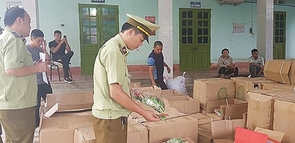 Lạng Sơn: Thu giữ gần 600 kg bánh kẹo, thực phẩm lậu