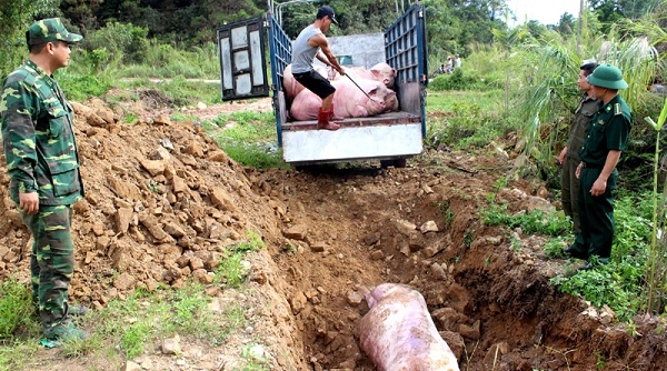 BCĐ 389 Quảng Ninh khẳng định không phát hiện người dân “gánh” lợn qua biên giới