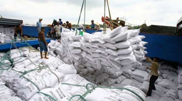 Gạo Việt Nam chiếm 15% lượng gạo xuất khẩu toàn thế giới