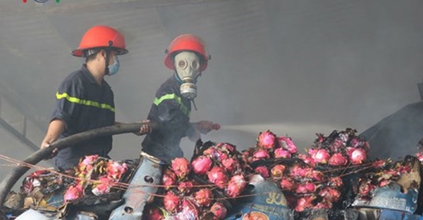 Hỏa hoạn thiêu rụi kho thanh long hơn 100 tấn ở Bình Thuận