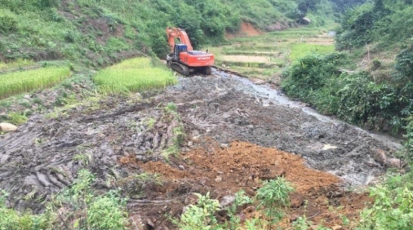 Phú Thọ: Phá rừng phòng hộ khai thác đá quý không phép