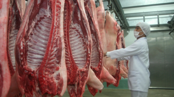 Miền Bắc sử dụng công nghệ quốc tế sản xuất và chế biến thịt lợn