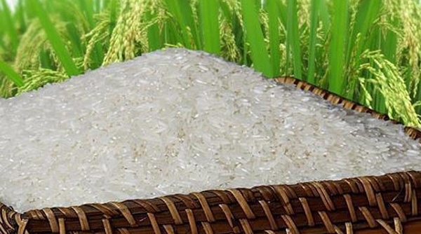 Tập đoàn phân phối gạo lớn nhất Australia mua lại nhà máy chế biến gạo của Việt Nam