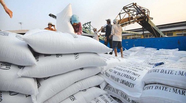 Thúc đẩy hợp tác thương mại giữa Việt Nam và Trung Quốc trong hoạt động thương mại gạo