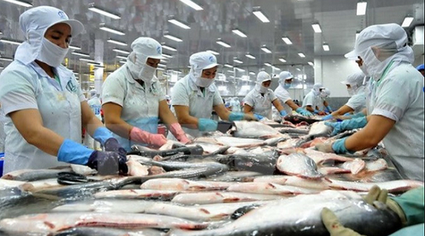 Trung Quốc đẩy mạnh nuôi cá tra, doanh nghiệp Việt Nam đứng trước thách thức lớn