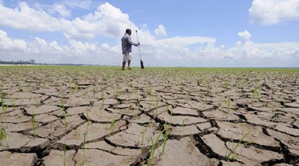 Thủ tướng Nguyễn Xuân Phúc yêu cầu tập trung ứng phó với hiện tượng El Nino