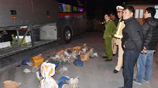 Ninh Bình: Bắt vụ vận chuyển 36 cá thể tê tê trên xe khách mang đi tiêu thụ