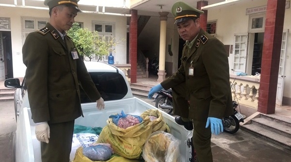 Tiêu huỷ gần 800kg lòng lợn hôi thối tại Lạng Sơn