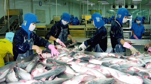 Năm 2018, xuất khẩu cá tra sang thị trường ASEAN có nhiều thuận lợi