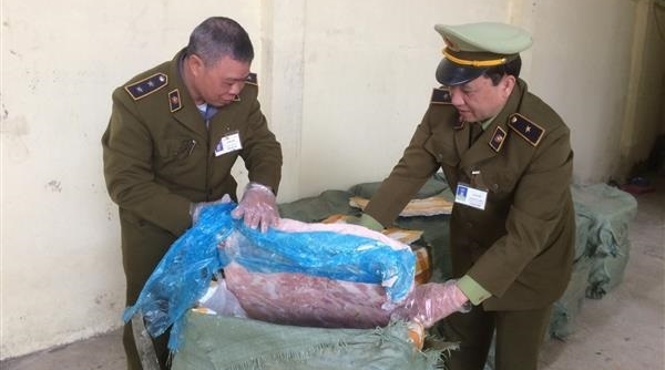 QLTT Lạng Sơn: Thu giữ 1.500 kg nầm lợn nhập lậu đã hỏng