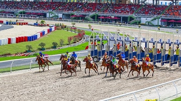 Chính phủ phê duyệt dự án xây trường đua ngựa tại Sóc Sơn