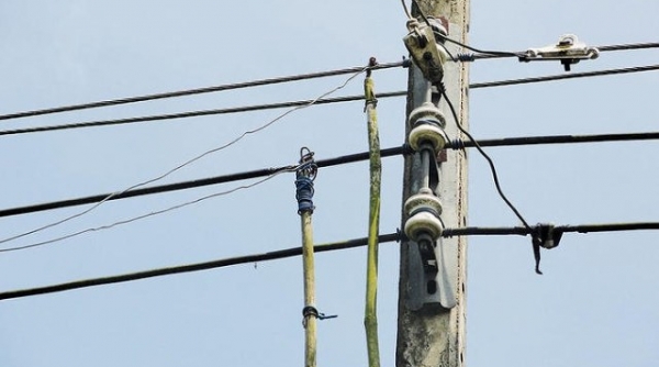 Điện lực Nghệ An: Phát hiện 288 vụ “điện tặc”, truy thu gần 4 tỷ đồng