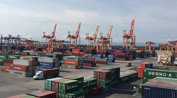 Hải Phòng: Gần 500 container phế liệu đã được thông quan