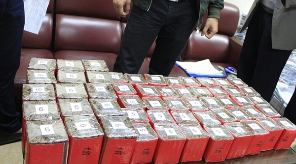 Hà Nội: Tạm giữ 10.000 điếu xì gà vận chuyển qua đường hàng không