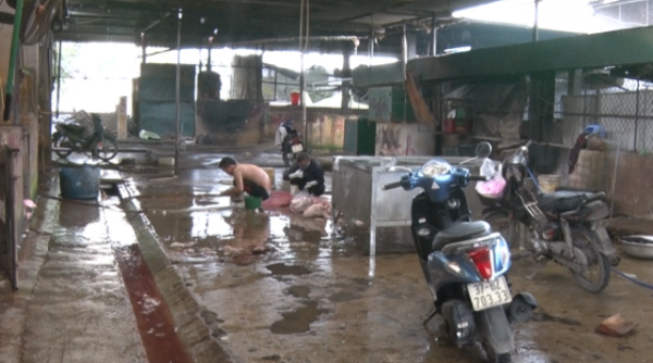 Nghệ An: Đóng của lò mổ gia súc tập trung gây ô nhiễm môi trường