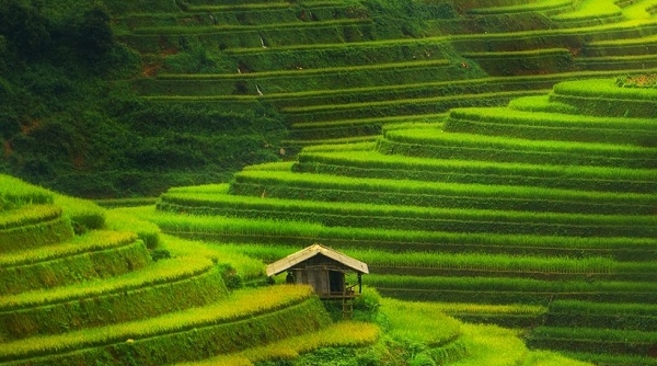 "Kỳ quan nhân tạo" ở Yên Bái nổi bật trên Tạp chí du lịch CN Traveler