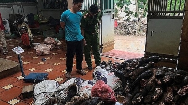 Hà Nội: Thu giữ gần 3 tấn chân bò, nội tạng không rõ nguồn gốc