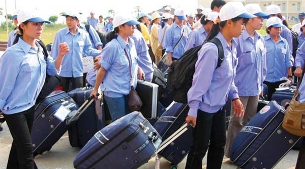 Bắc Giang có 3 huyện bị cấm đưa lao động xuất khẩu sang Hàn Quốc
