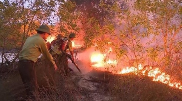 Quảng Bình: Hơn 15 ha rừng phòng hộ bị “bà hỏa” ghé thăm