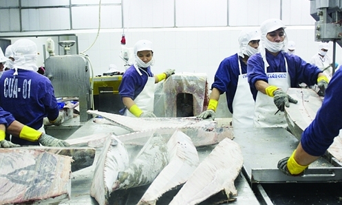Trung Quốc miễn thuế nhập khẩu cho 33 mặt hàng hải sản của Việt Nam