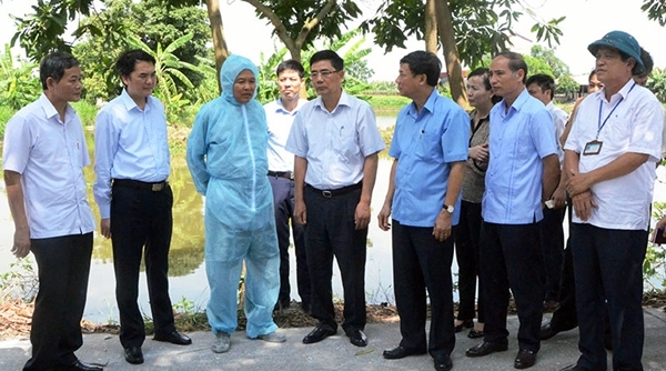 Phó trưởng ban thường trực Ban Kinh tế TW Cao Đức Phát kiểm tra công tác phòng chống DTLCP tại Bắc Ninh