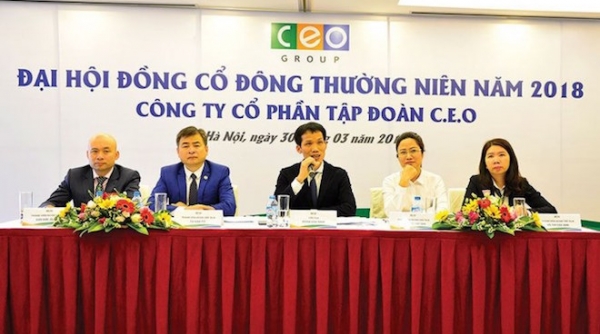 Gian lận thuế, CEO Group bị truy thu 2,8 tỷ đồng