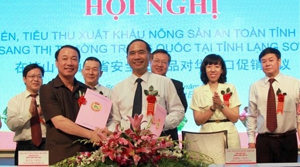 Đẩy mạnh liên kết, hợp tác xuất khẩu hàng nông sản