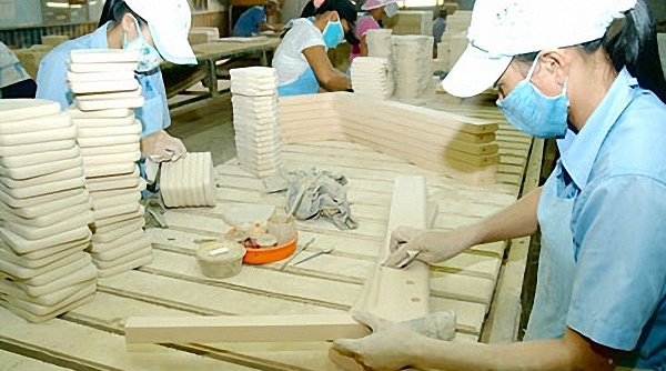 Thúc đẩy doanh nghiệp tư nhân phát triển, động lực quan trọng của nền kinh tế