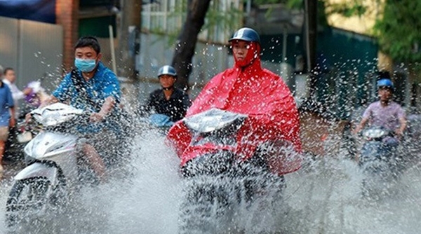 Dự báo thời tiết ngày 1/7: Hà Tĩnh có mưa vào chiều tối