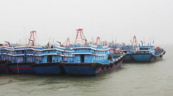 Nghệ An: Hàng nghìn tàu thuyền với hơn 19.000 lao động được “lệnh” cập bờ tránh bão