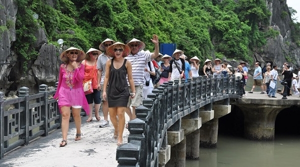 Việt Nam đón gần 9,8 triệu lượt khách quốc tế trong 7 tháng đầu năm 2019