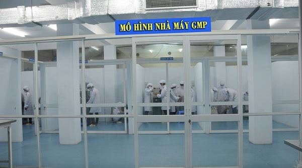 Ban hành Thông tư Hướng dẫn Thực hành sản xuất tốt (GMP) trong sản xuất, kinh doanh thực phẩm bảo vệ sức khỏe